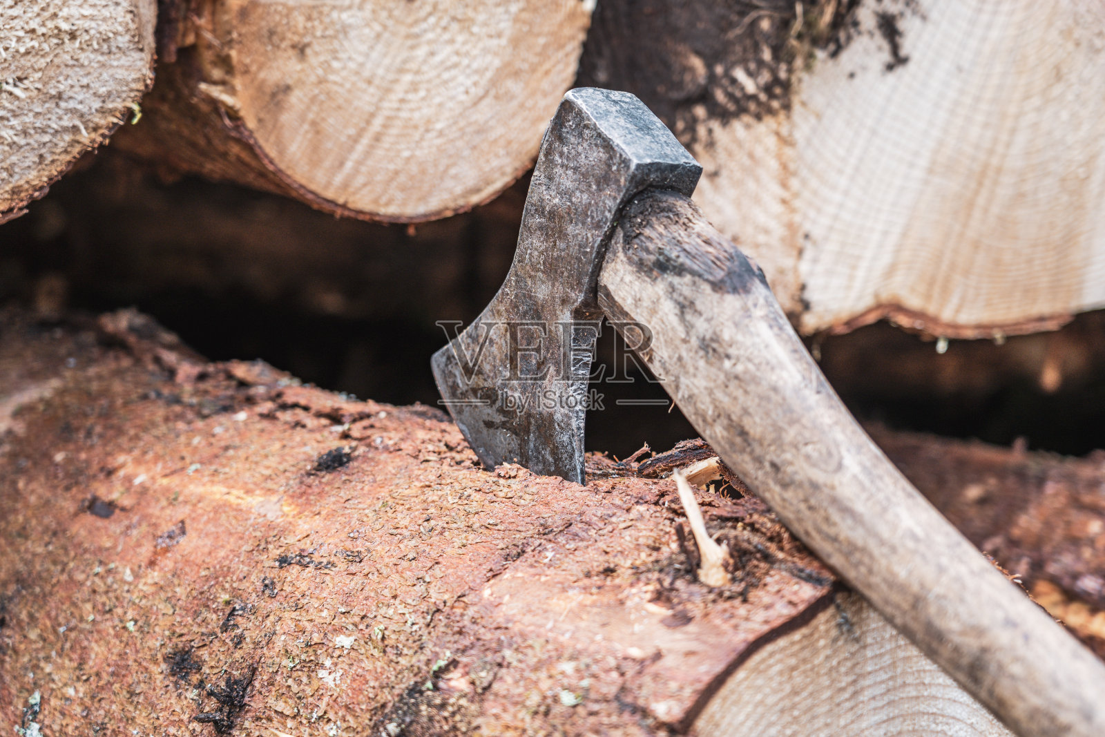树干上的斧头照片摄影图片