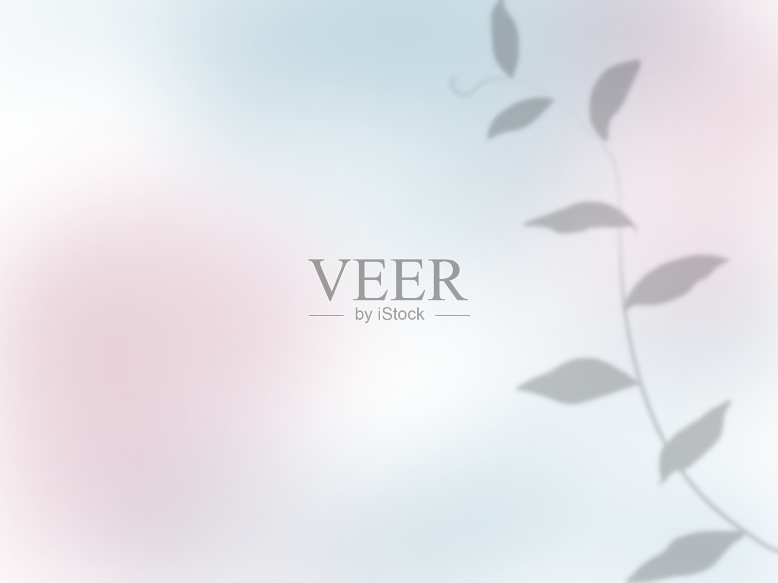 漂亮的背景与叶片阴影的梯度墙插画图片素材