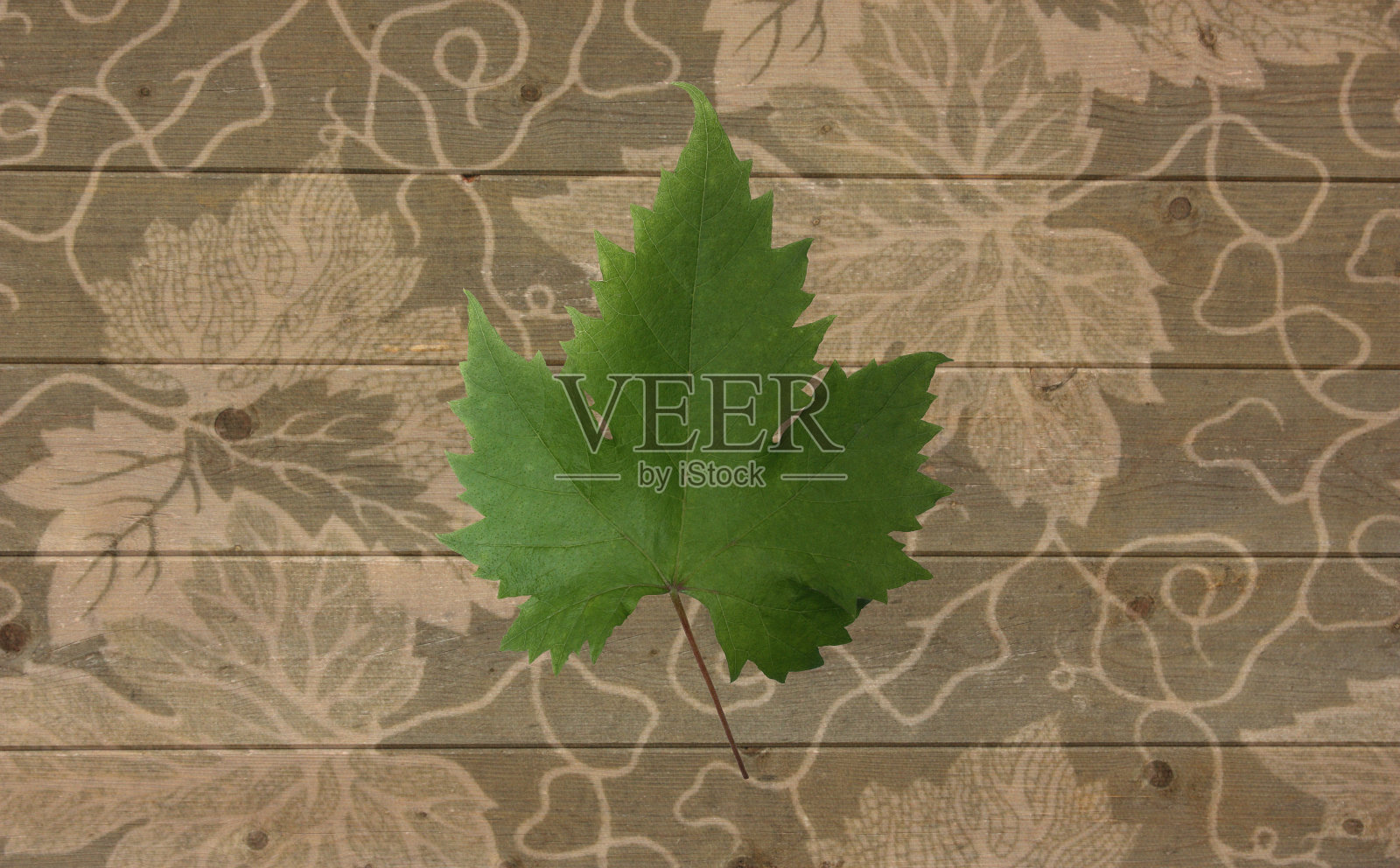 藤纹织物照片摄影图片