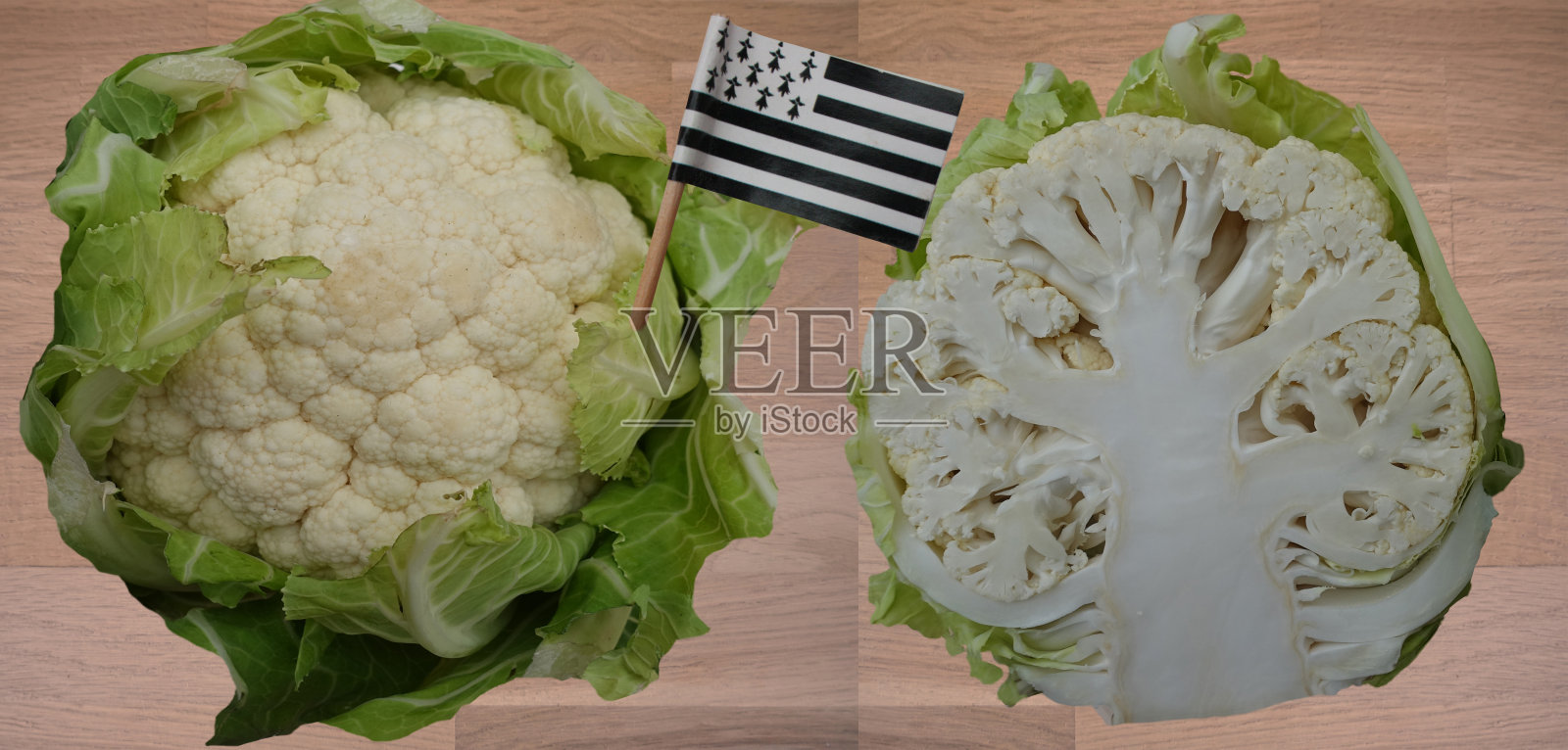 法国布列塔涅菜花有机农业照片摄影图片