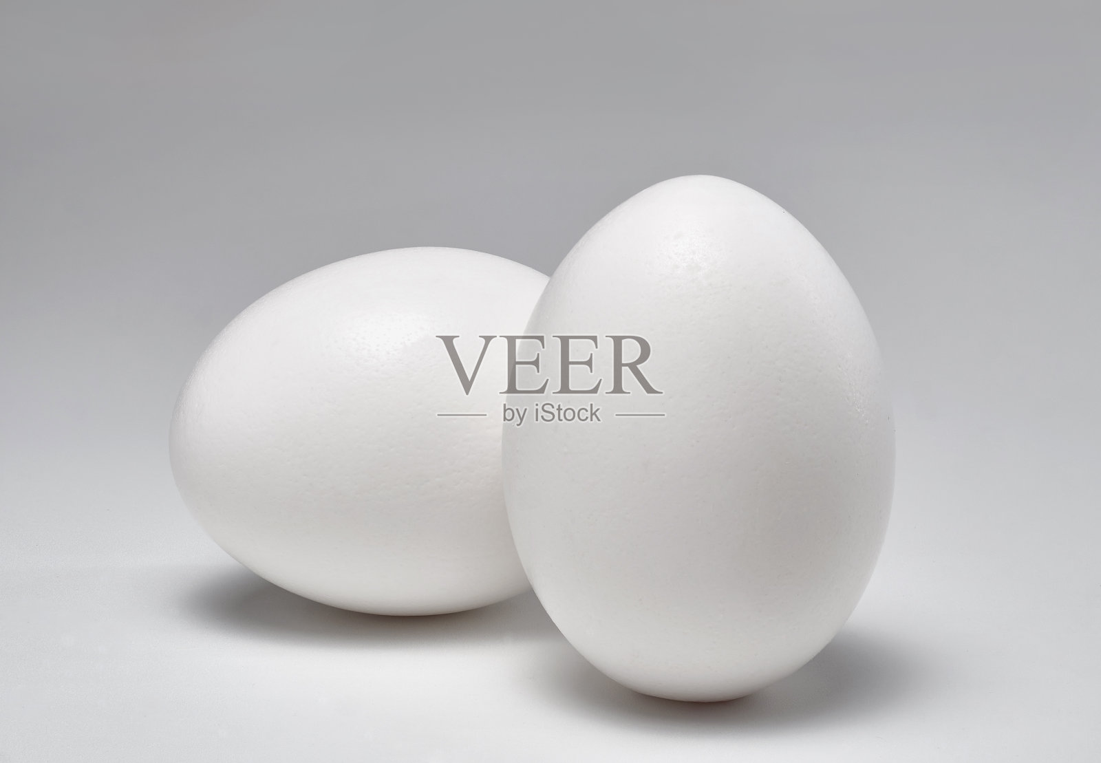 两个白色的大蛋壳照片摄影图片