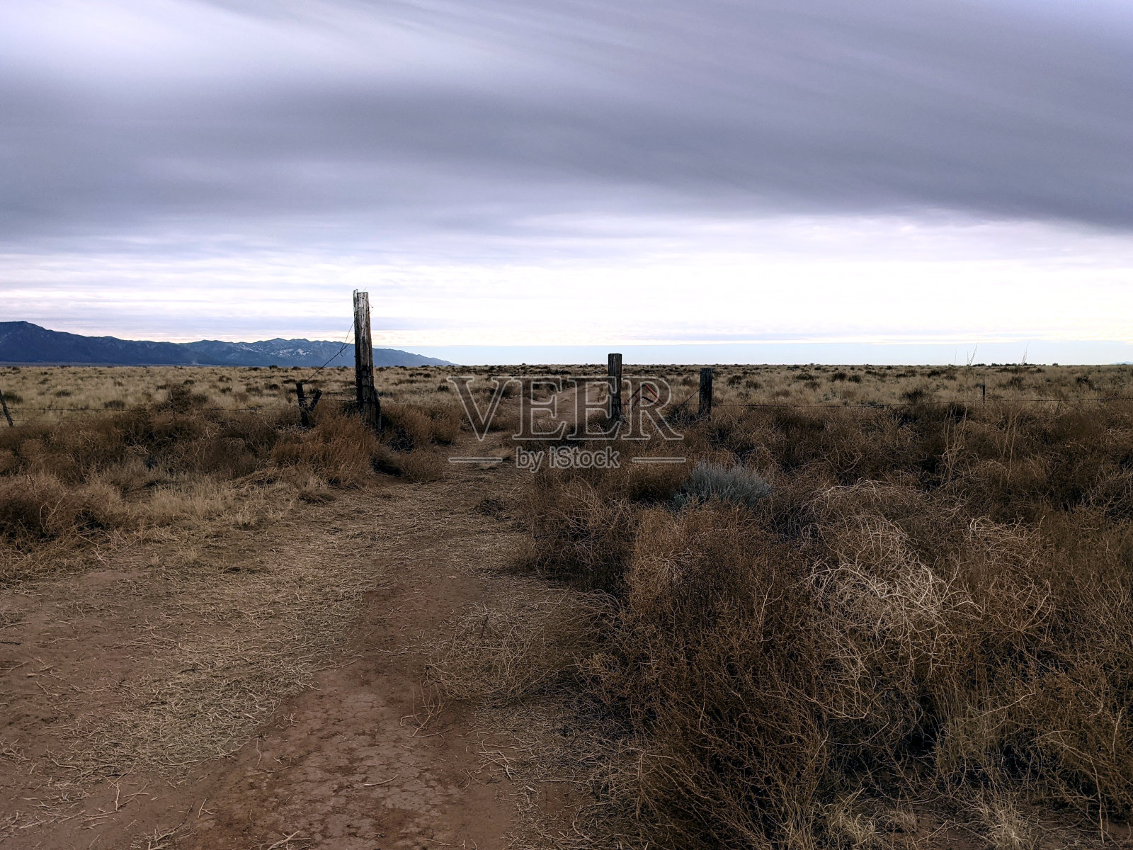 在阴沉的天空下，有风滚草的土路照片摄影图片