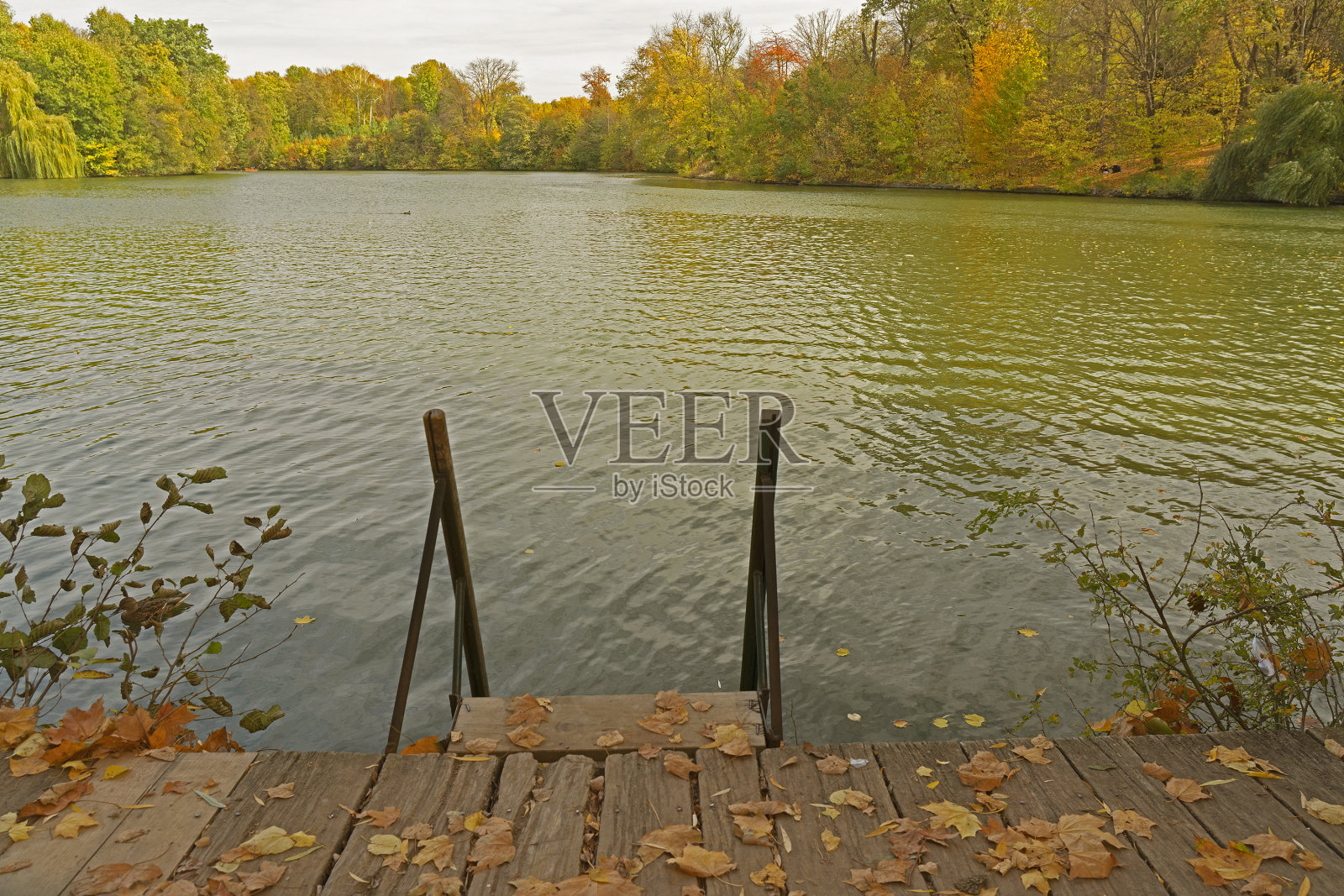 秋湖水步，森林风景如画照片摄影图片