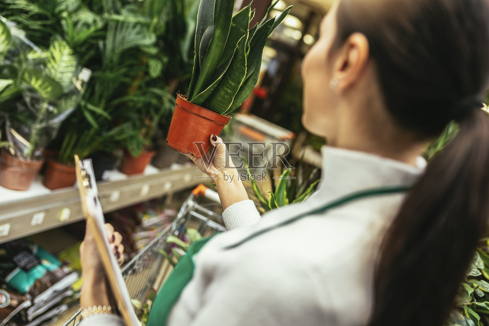 快乐的女人在花店工作站在植物周围照片摄影图片