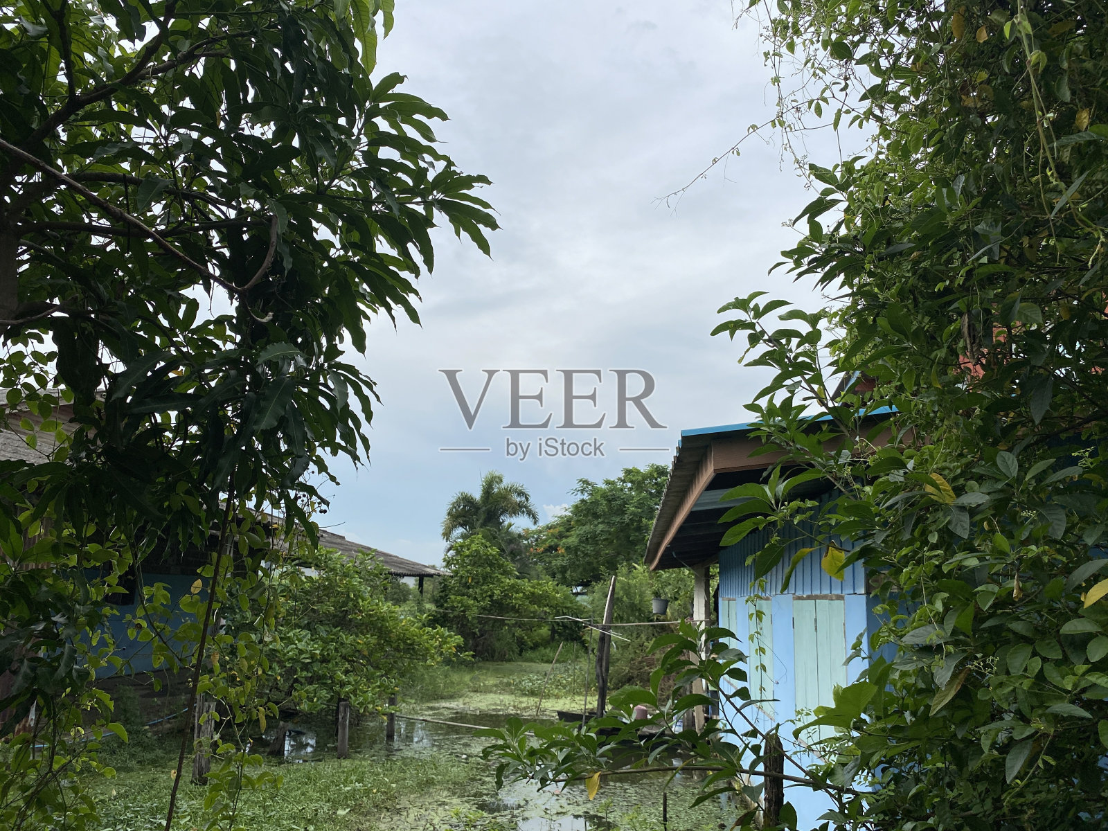 泰国乡村风光照片摄影图片