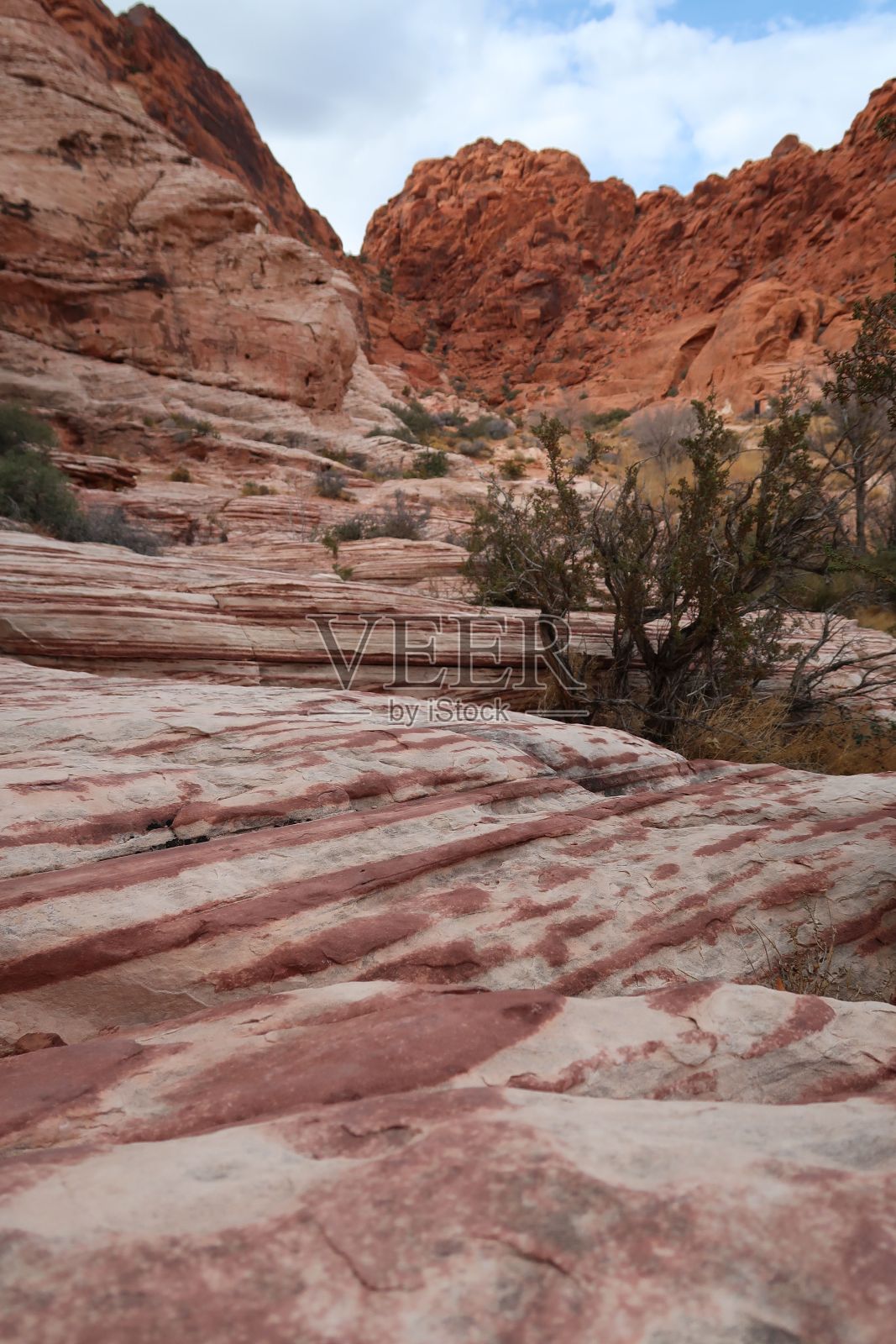 美国内华达州拉斯维加斯红岩峡谷州立公园的垂直拍摄照片摄影图片