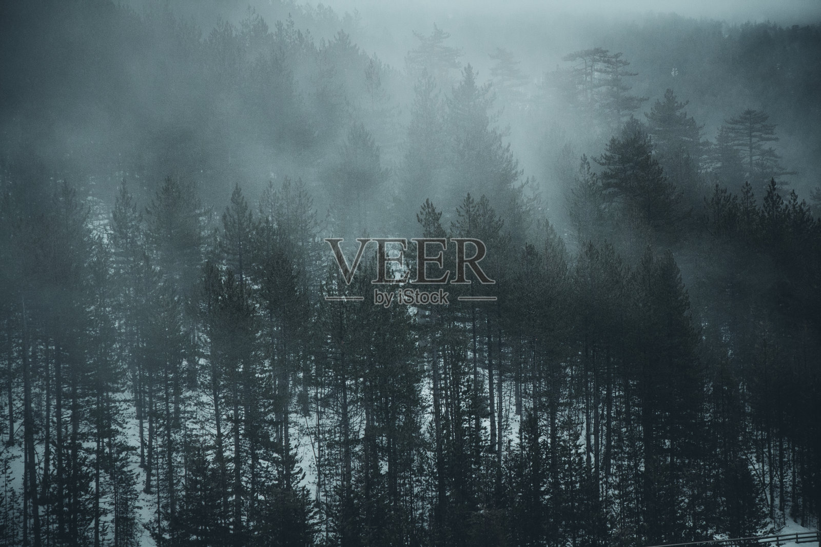 冬季美丽森林的航拍照片摄影图片