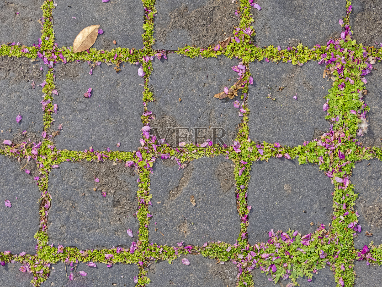 世界遗产城市意大利罗马照片摄影图片