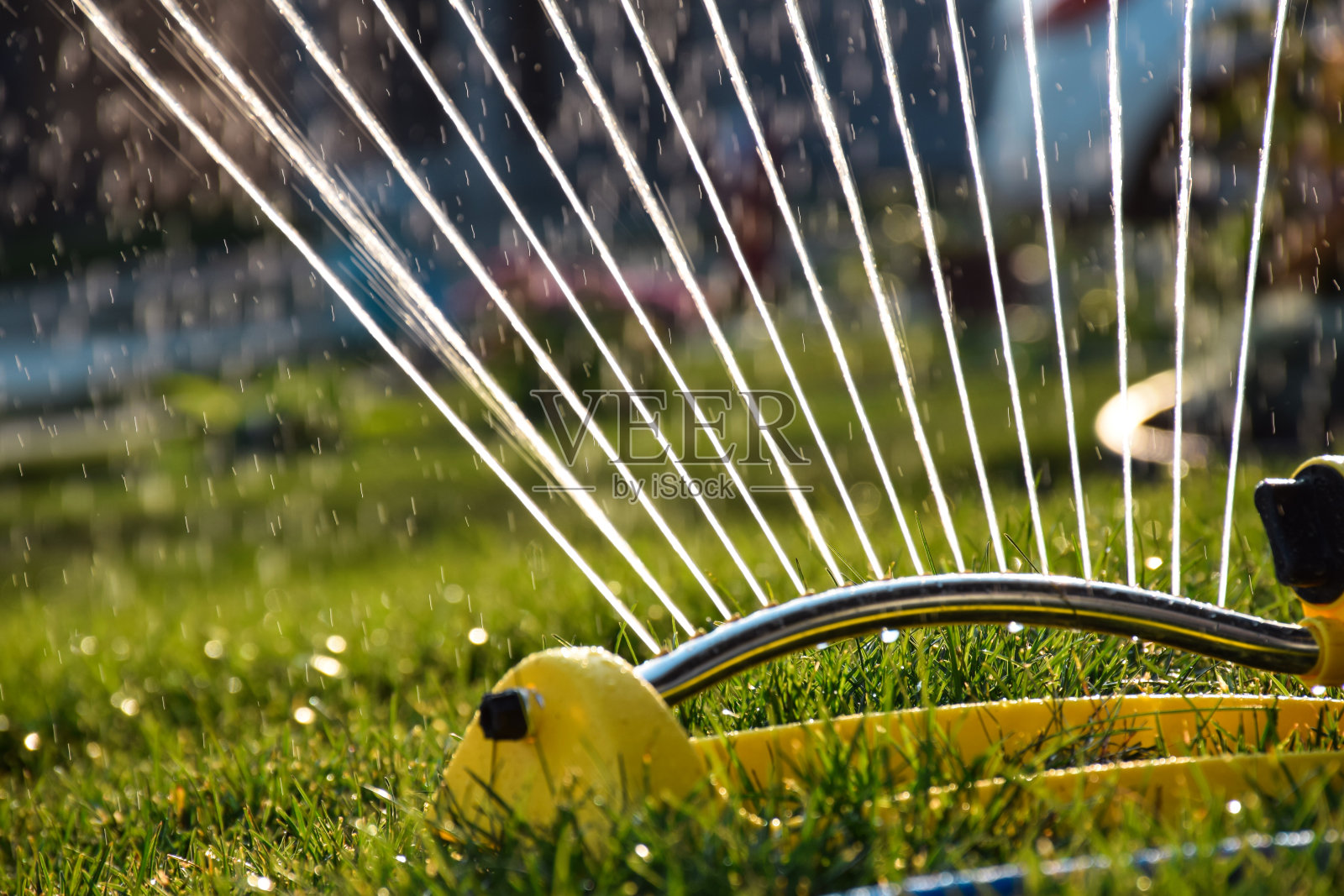 花园灌溉洒水车浇灌绿草草坪照片摄影图片