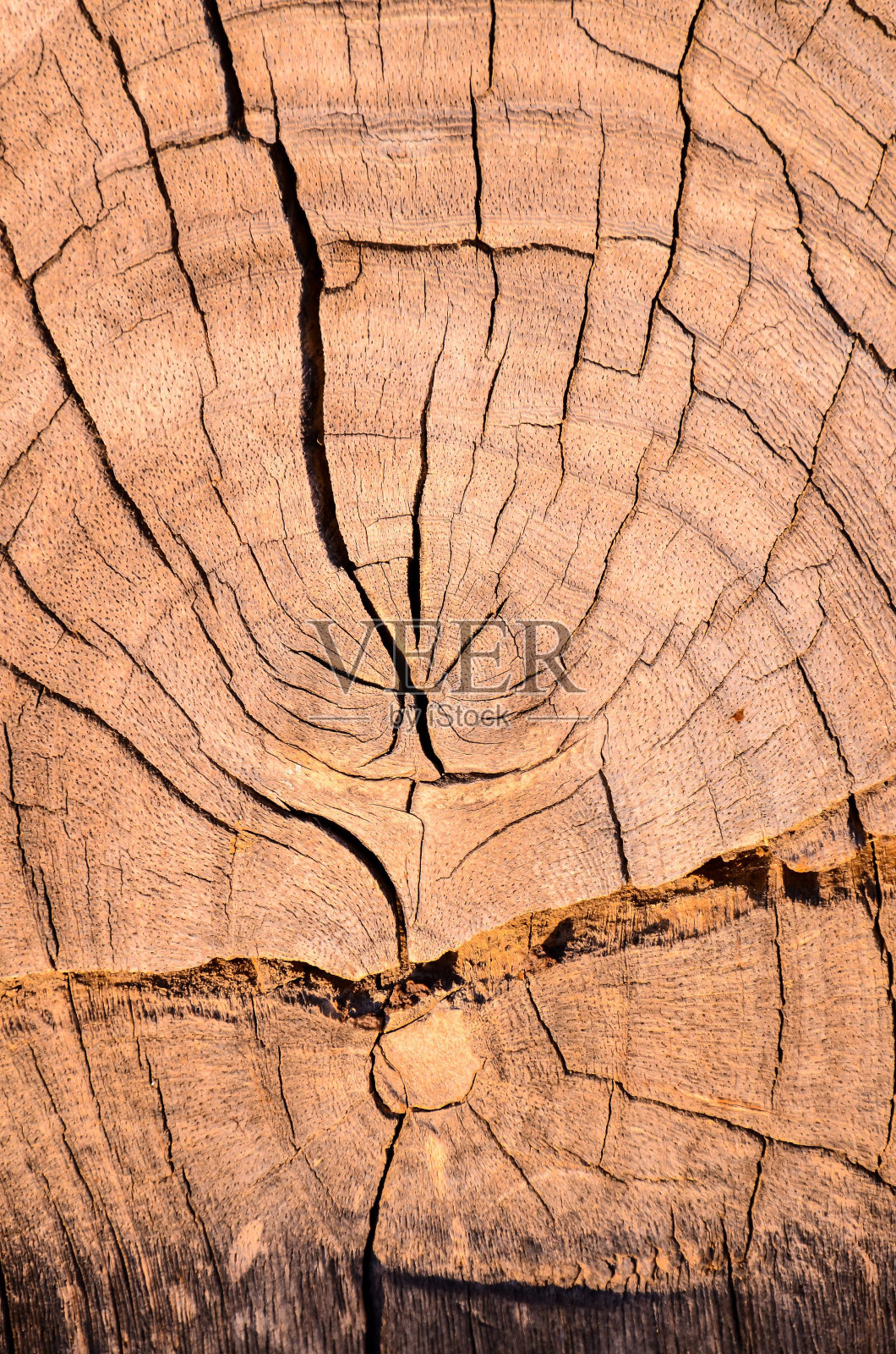 木材表面纹理照片摄影图片