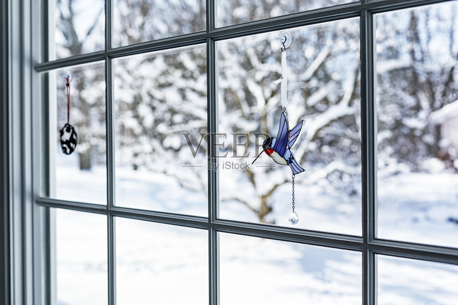 悬挂在冬季凸窗玻璃上的蜂鸟小摆设照片摄影图片