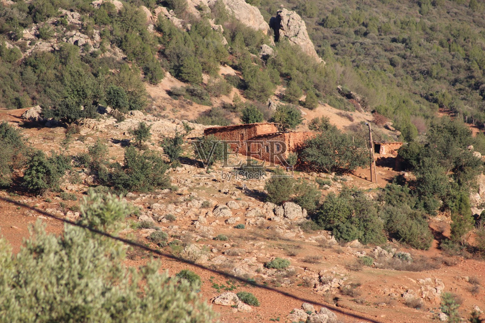 生活方式照片摄影图片