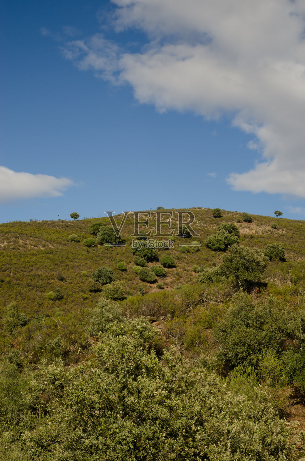 蒙弗拉格国家公园的风景。照片摄影图片