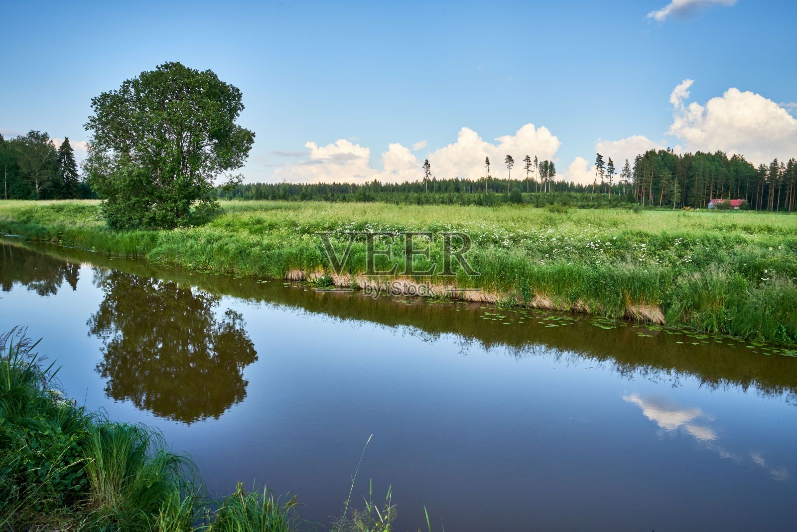 美丽的镜头，河流在树木环绕的田野间流淌照片摄影图片