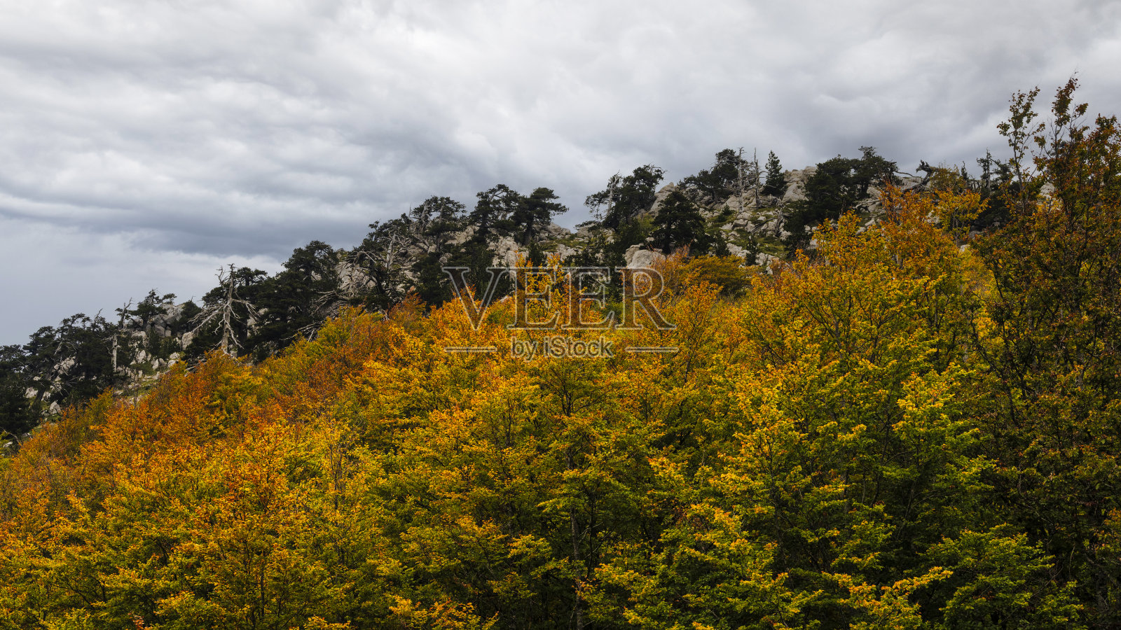 波利诺山，神的花园，巴西利卡塔意大利照片摄影图片