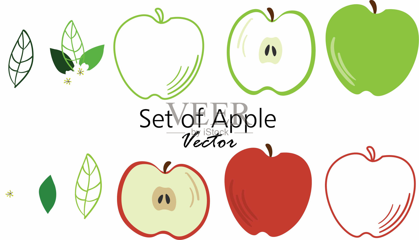 不同颜色和部分苹果向量集插画图片素材