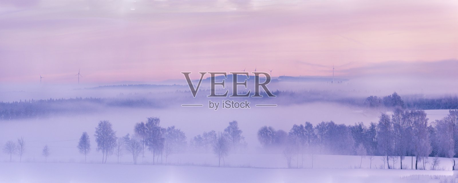 雾蒙蒙的天空下，雪山和树木的全景照片照片摄影图片