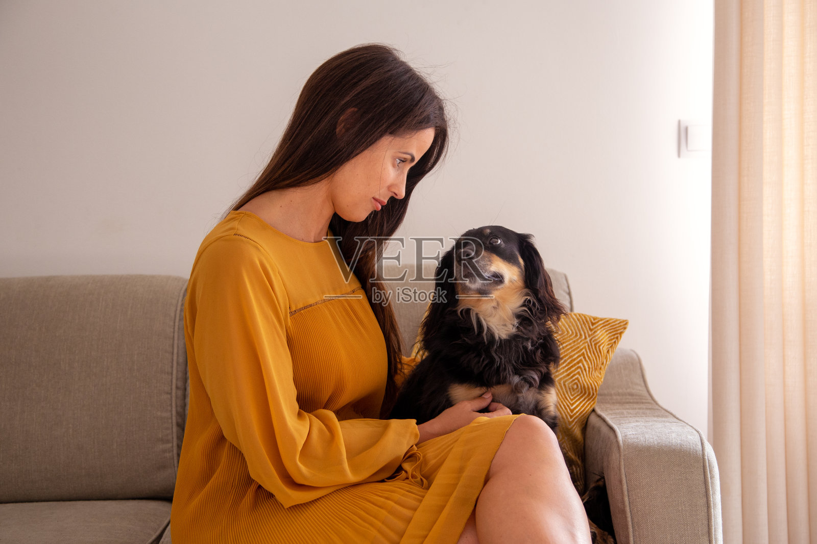 女人抚摸她的狗照片摄影图片