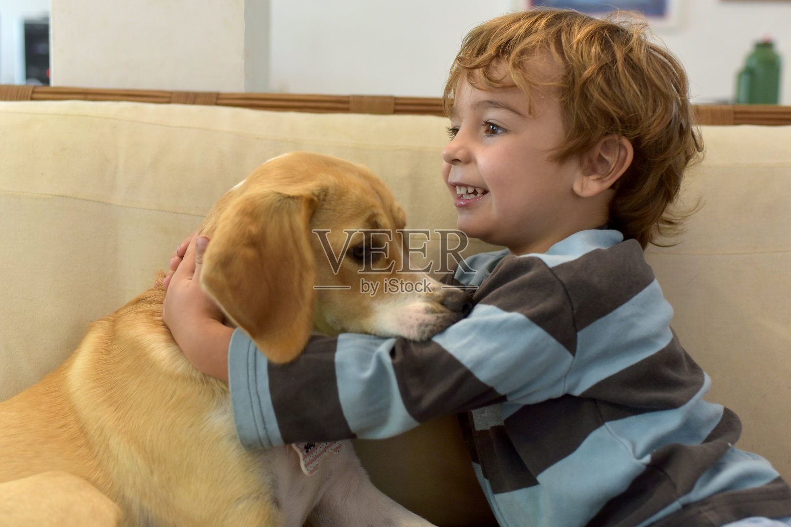男孩和狗在扶手椅上玩耍照片摄影图片