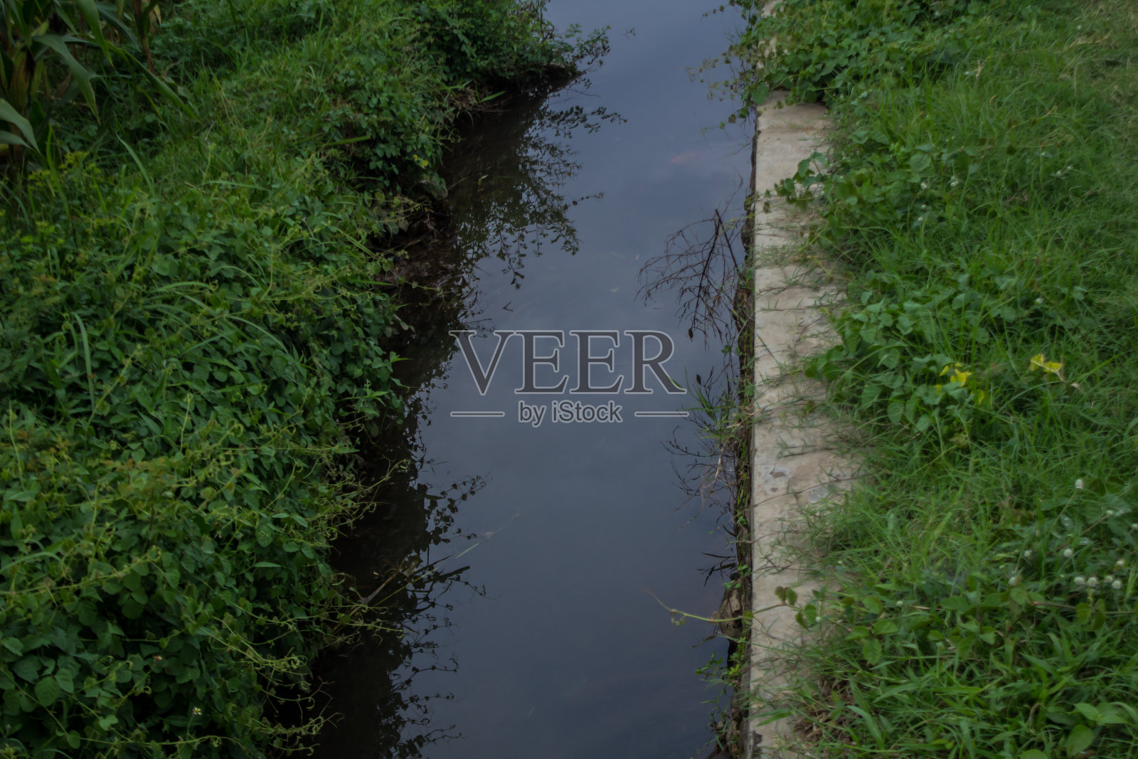 这些沟渠帮助了稻田的主人照片摄影图片