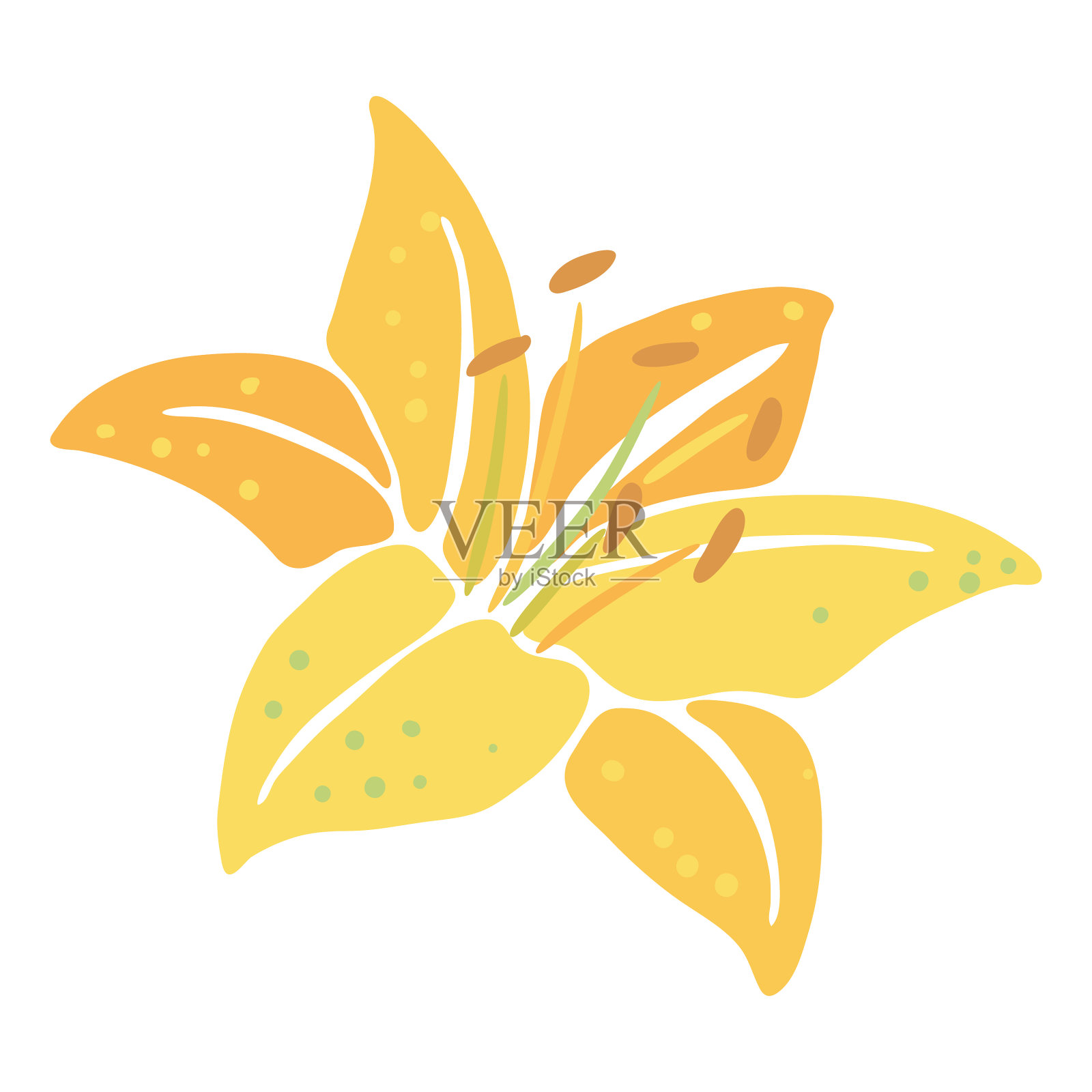 百合花的美丽装饰性设计元素图片