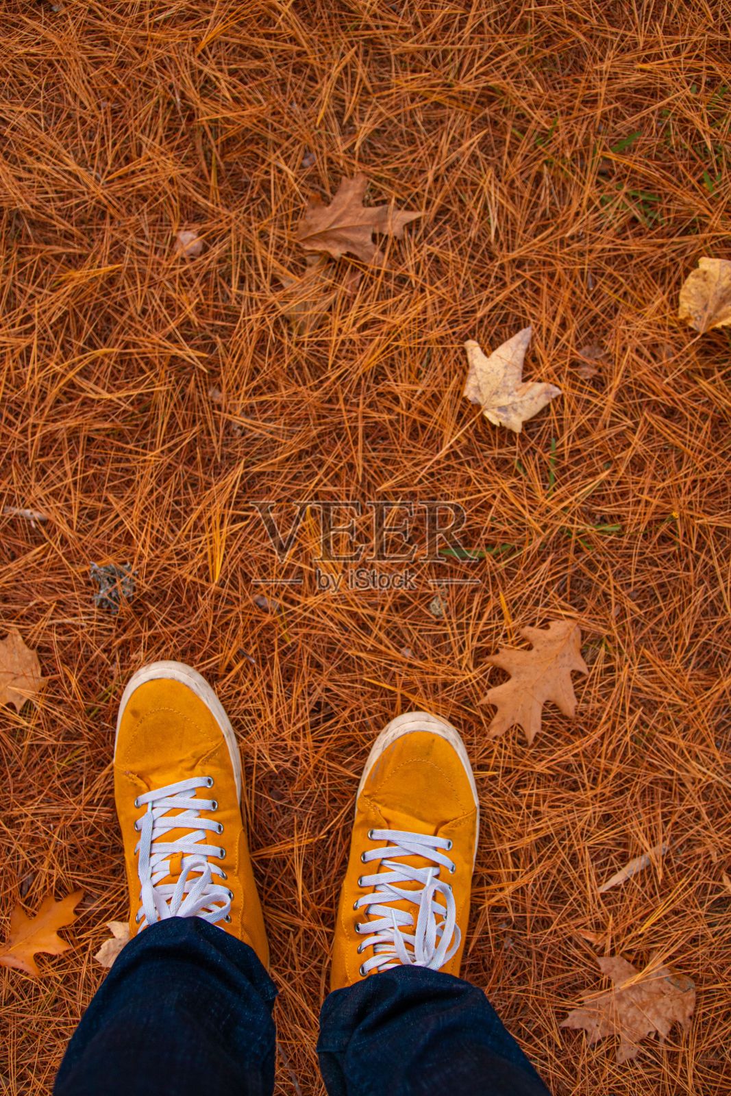 一个穿着橙色鞋子的人穿过森林的垂直镜头照片摄影图片