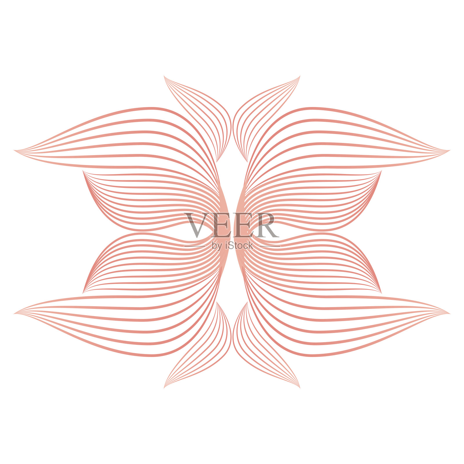 花瓣美丽，花线设计插画图片素材