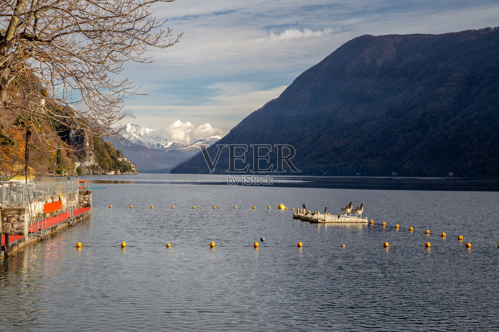 卢加诺湖畔的一些酒店或咖啡馆，水中的一些码头上的黑鸭潜水员照片摄影图片