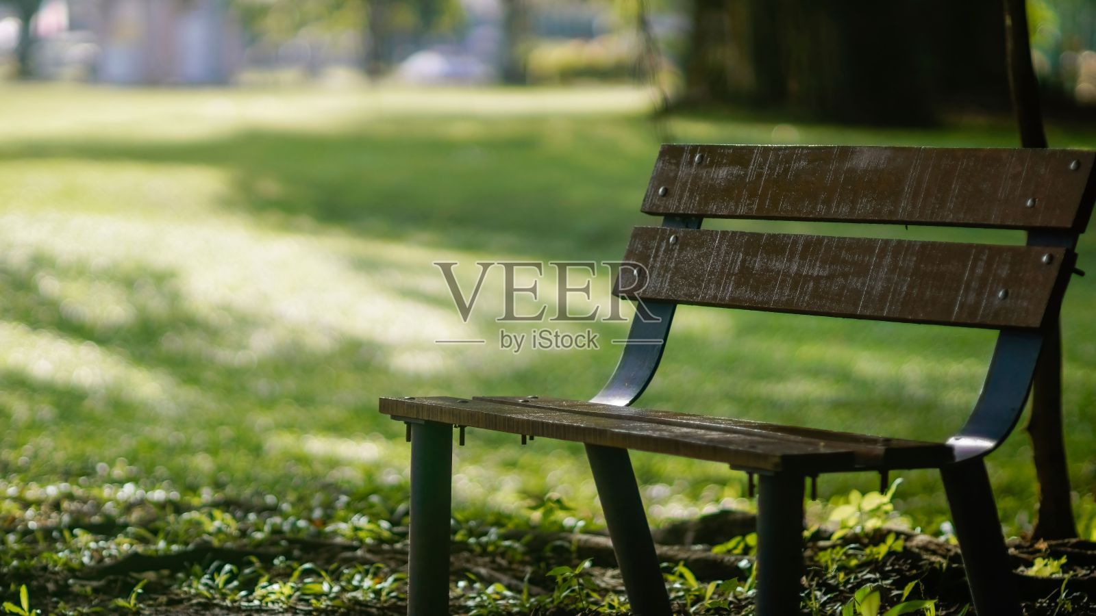 公园里的木凳，深浅的田野照片摄影图片