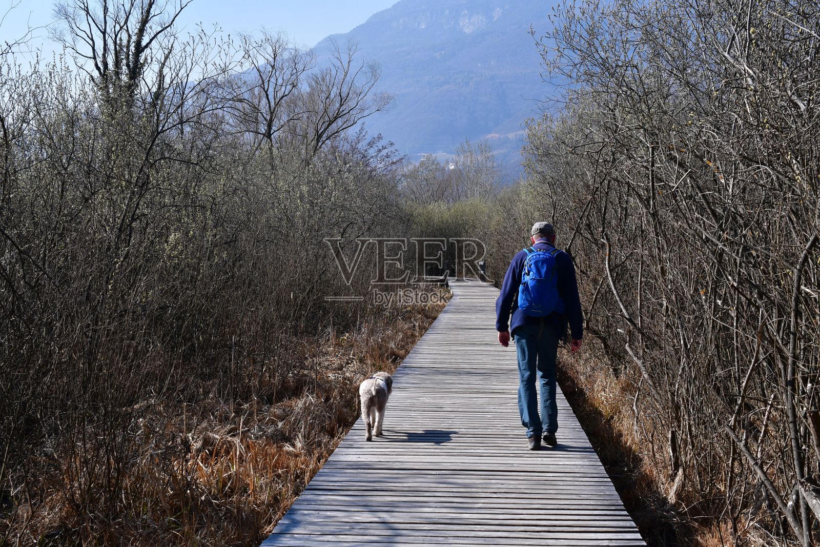 一名男子和他的Lagotto Romagnolo狗在卡尔达罗湖徒步旅行照片摄影图片