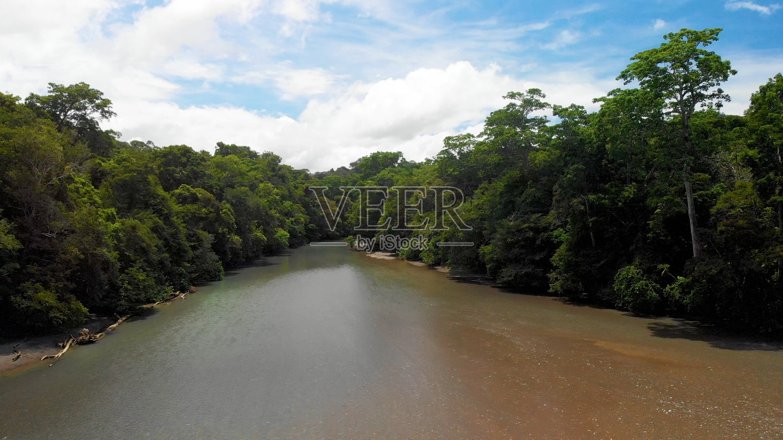 穿过丛林的热带河流。照片摄影图片