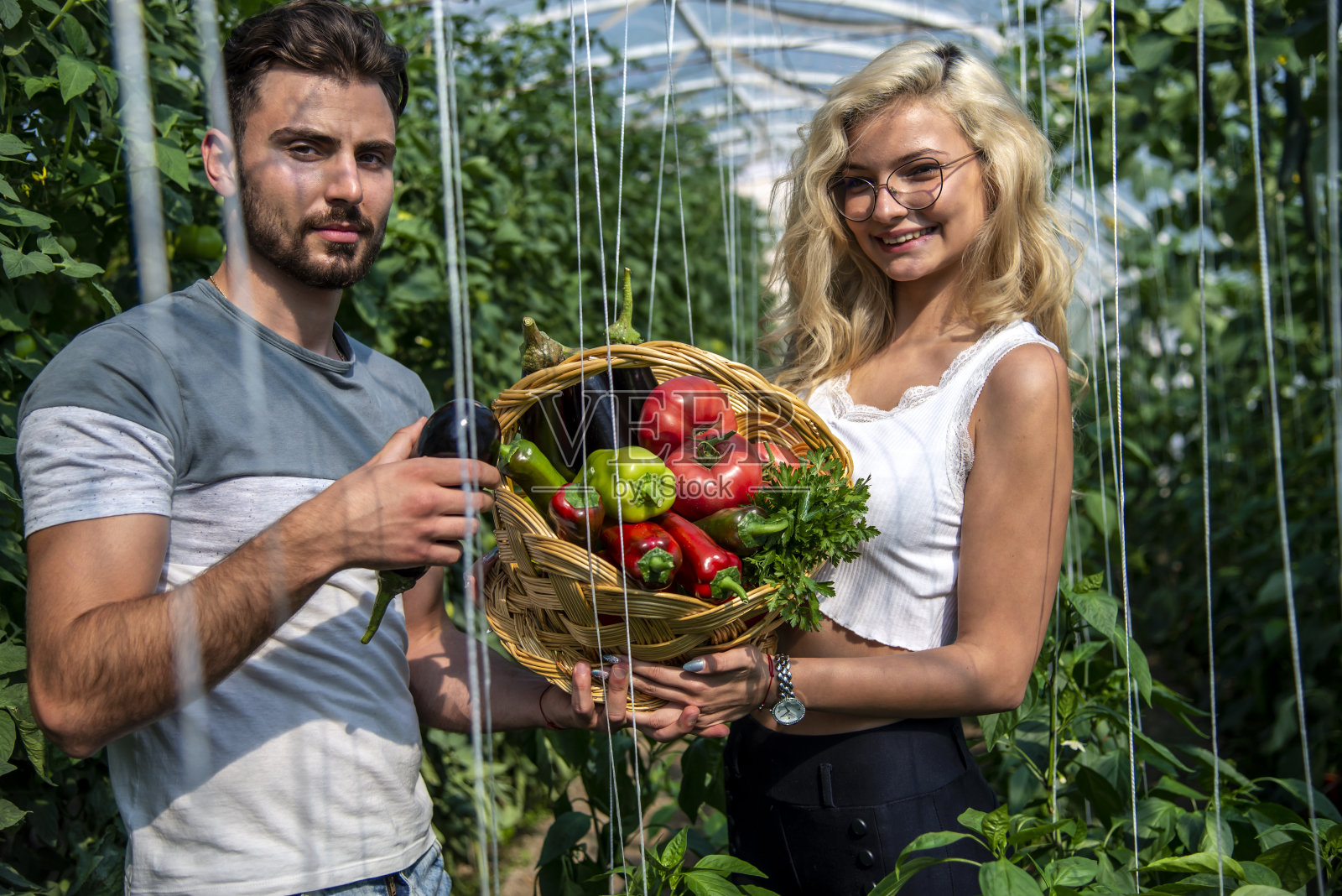 年轻的农民在家里的蔬菜农场。照片摄影图片