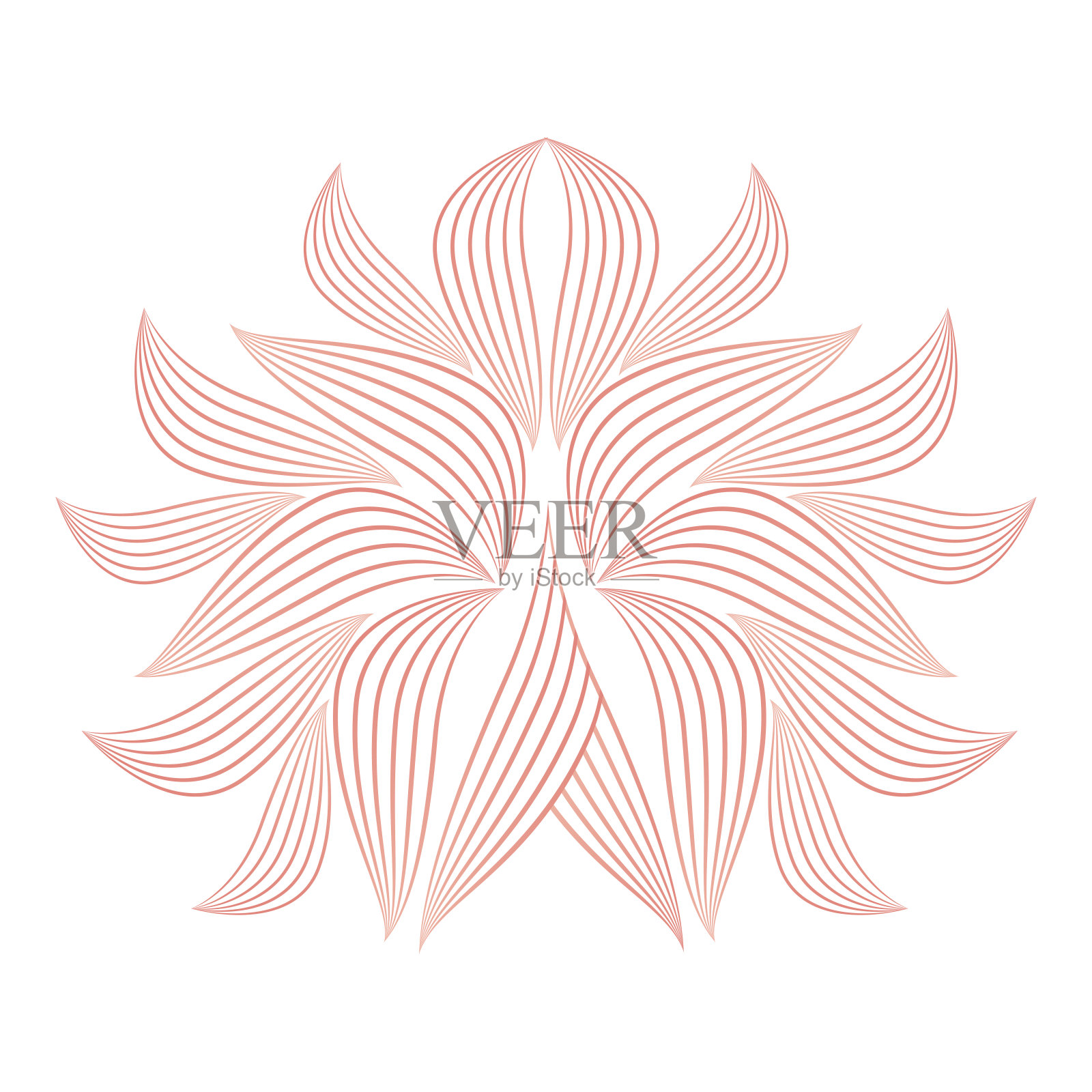 花瓣、花线点缀插画图片素材