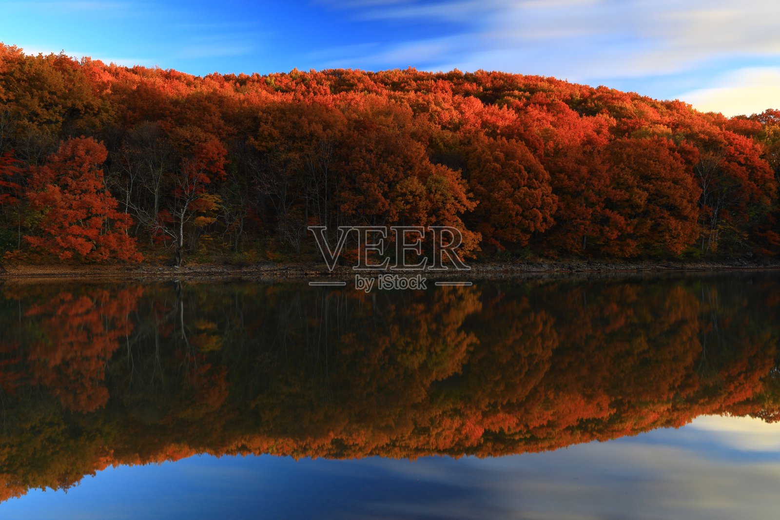 秋叶与雾照片摄影图片