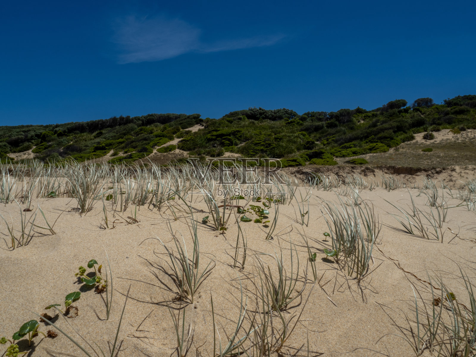 马利海滩照片摄影图片