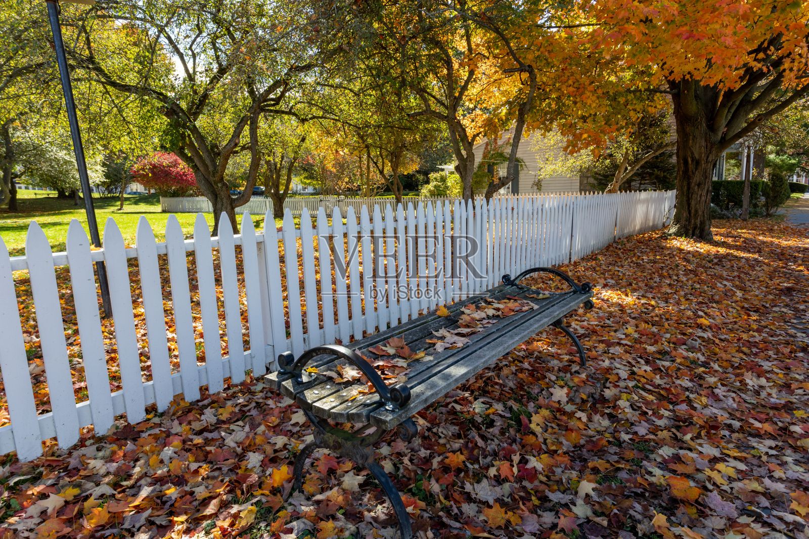 美国纽约沃里克村公园里明亮的秋日照片摄影图片