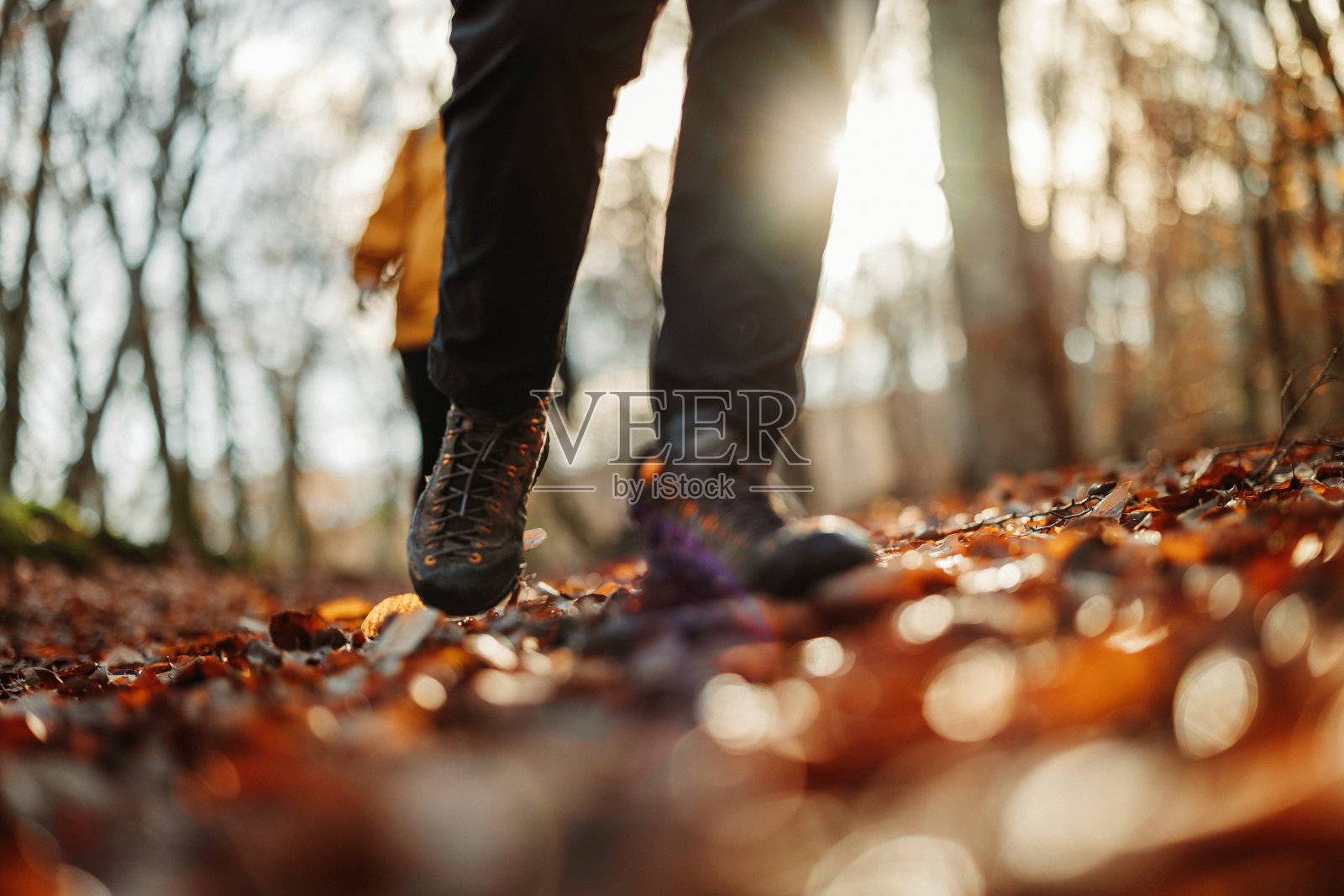 朋友们在意大利山毛榉林中远足:秋天的色彩照片摄影图片