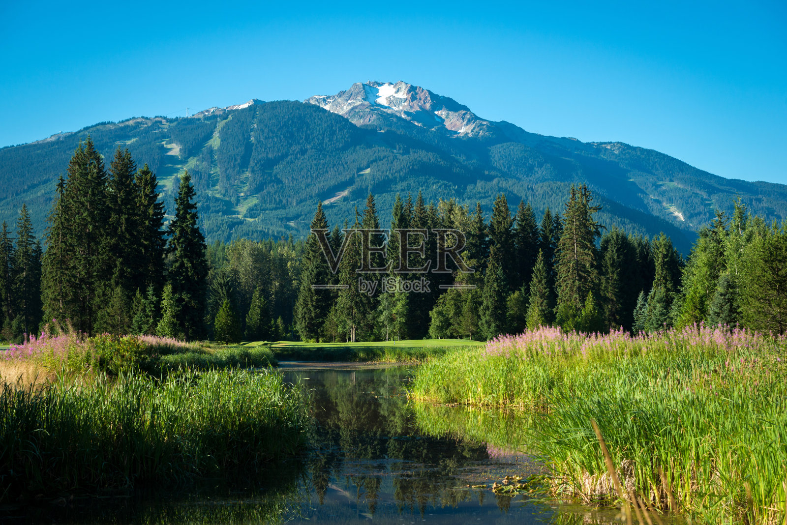 夏季惠斯勒山景色照片摄影图片