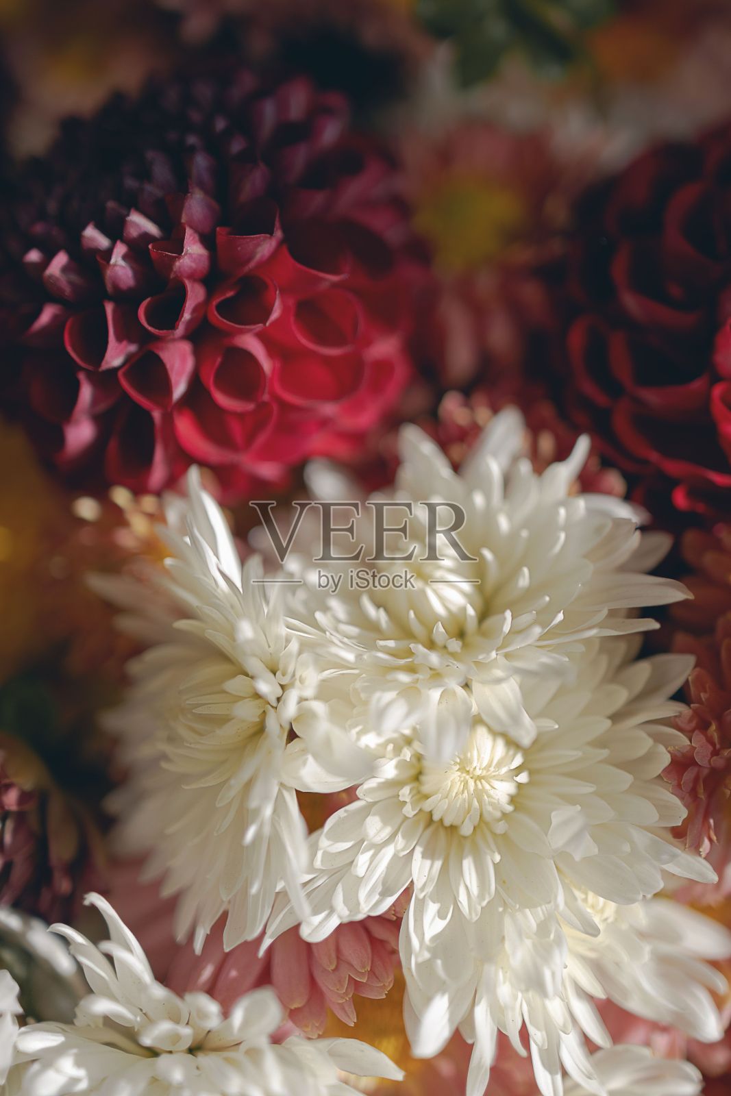 花瓶里秋天花朵的垂直特写镜头照片摄影图片