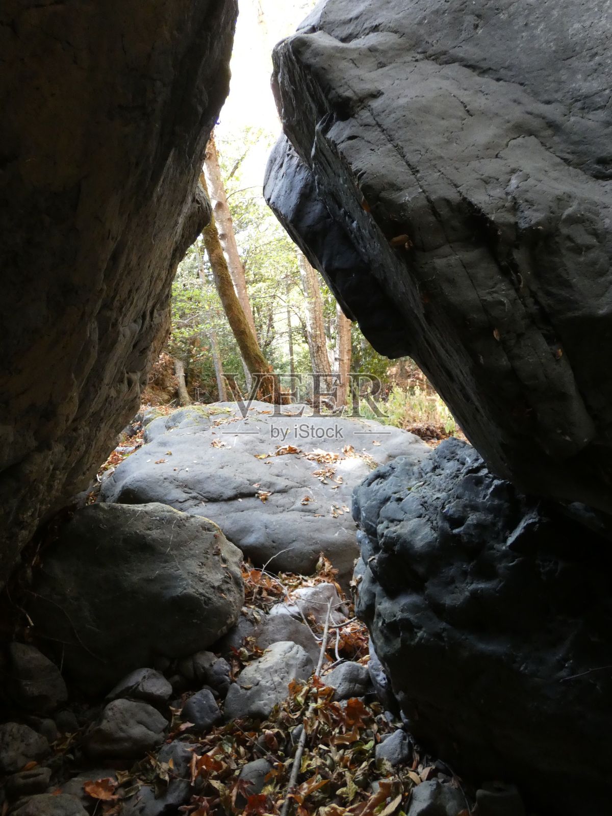 垂直拍摄森林里岩石上的一个洞照片摄影图片