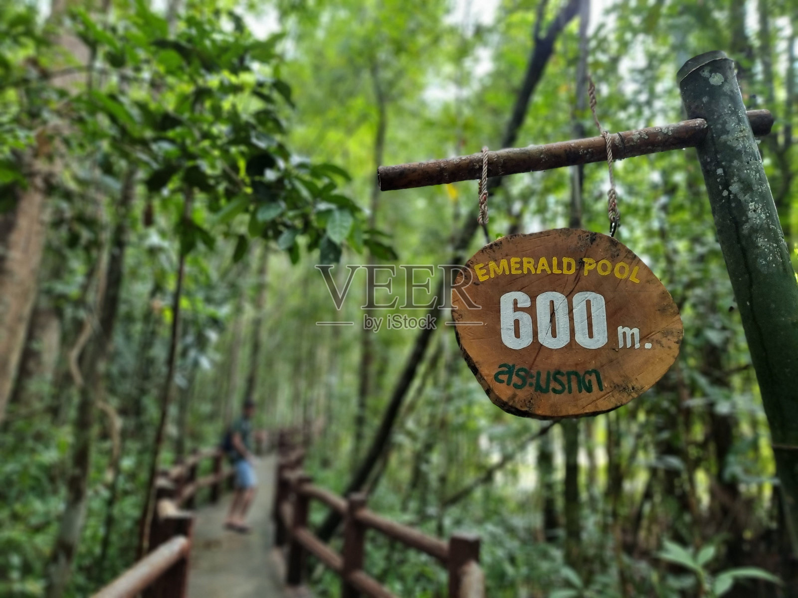 木制标志表明翡翠池600米照片摄影图片