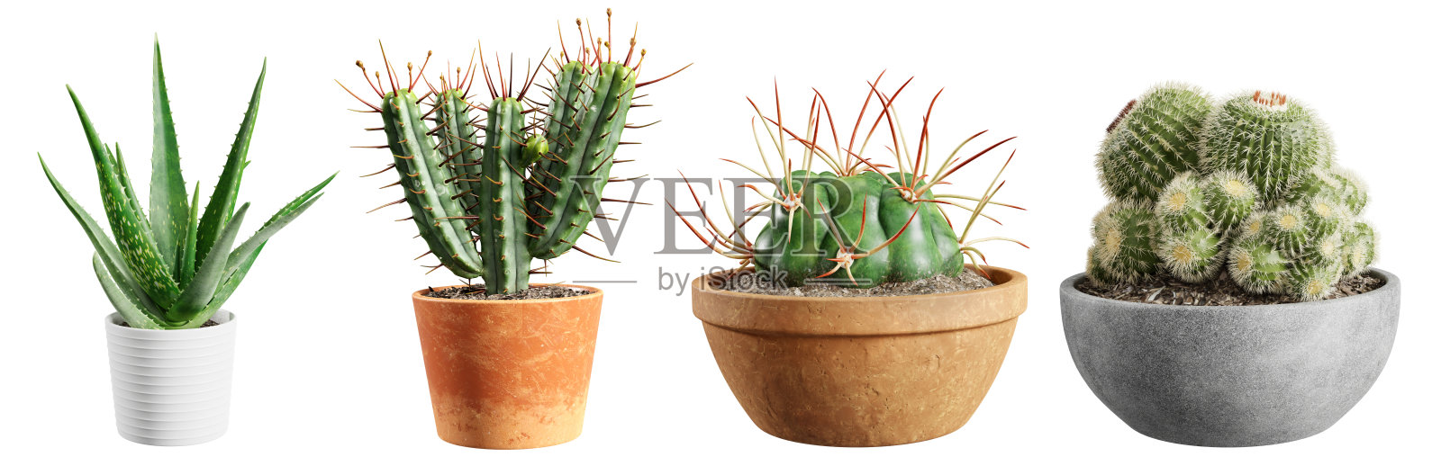 一套仙人掌植物在盆孤立的白色背景。3 d渲染。照片摄影图片