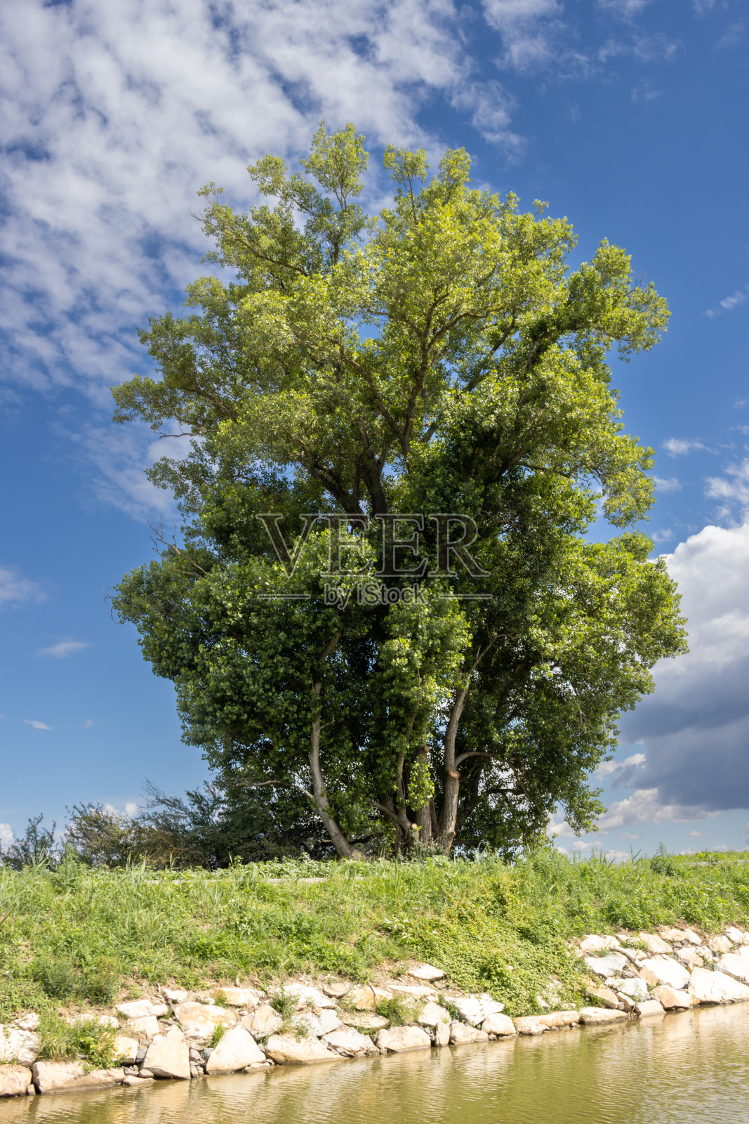捷克/斯洛伐克巴塔运河周围的国家照片摄影图片