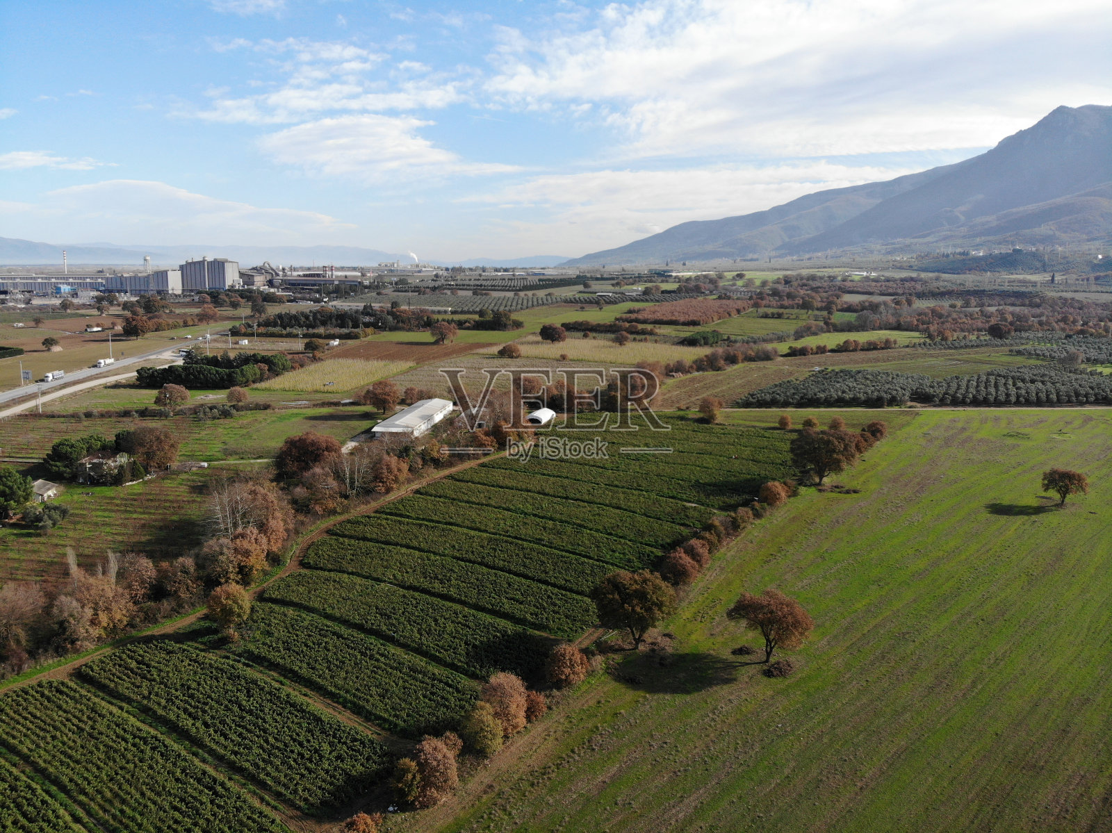 温室农田照片摄影图片