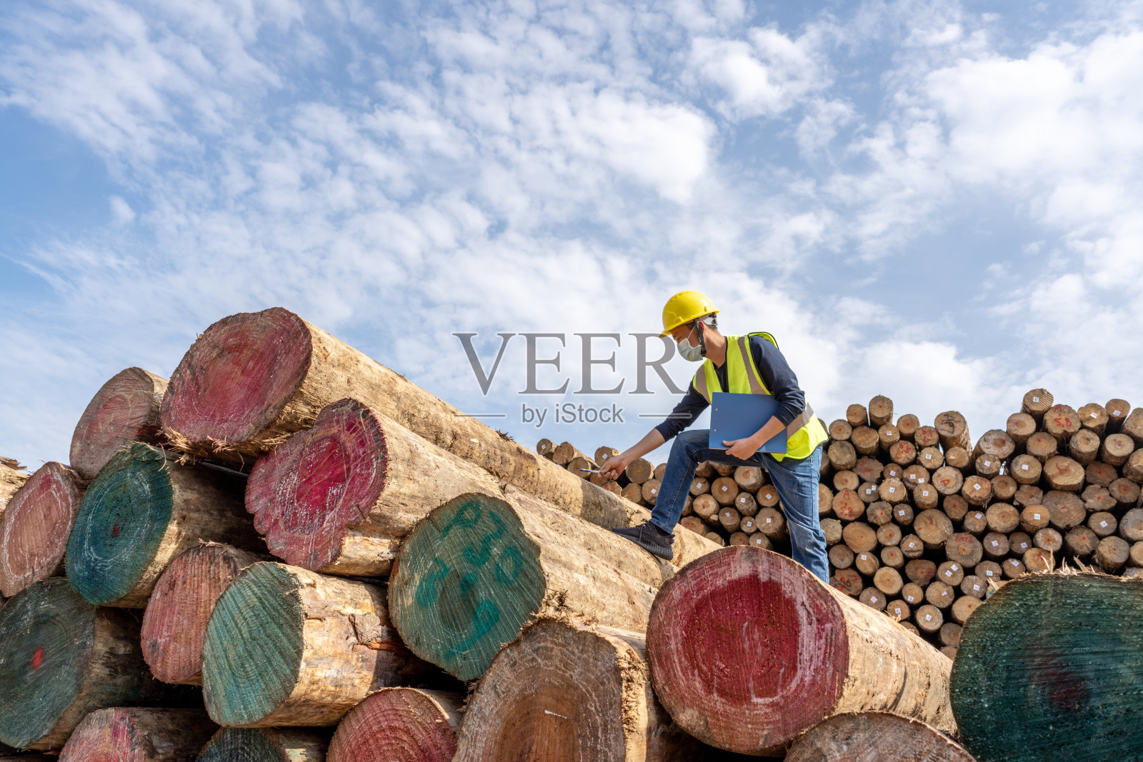 一名男性码头工人在港口的木材配送中心工作照片摄影图片