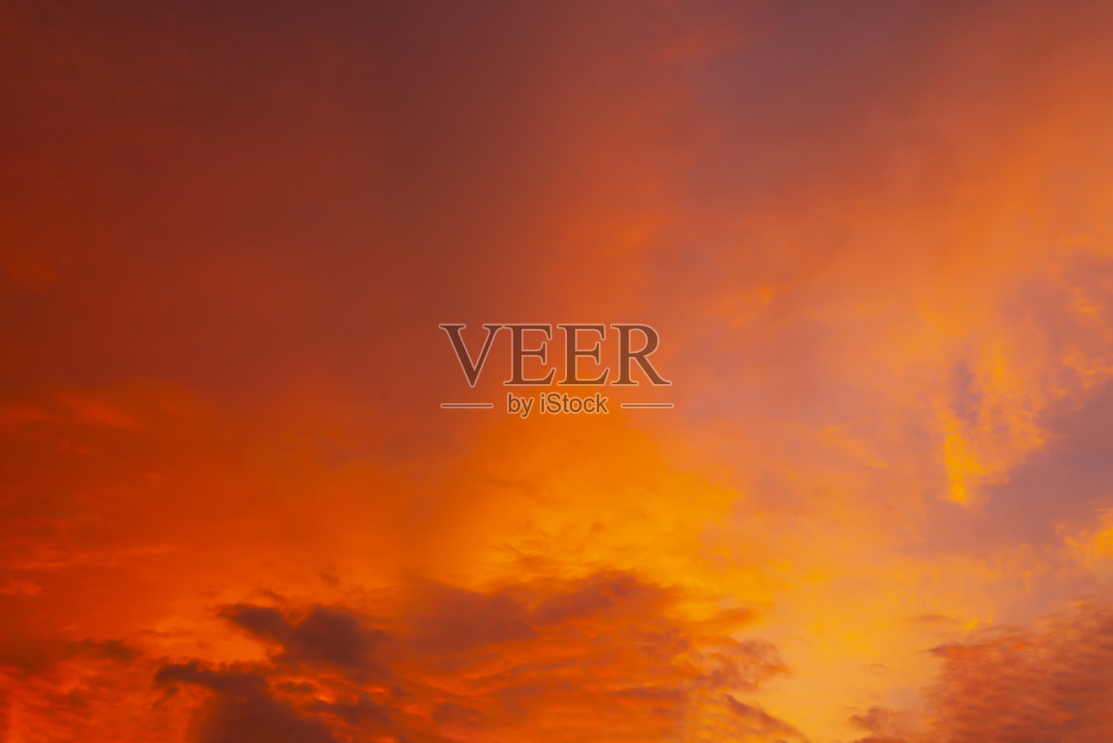 趋势色背景照片摄影图片