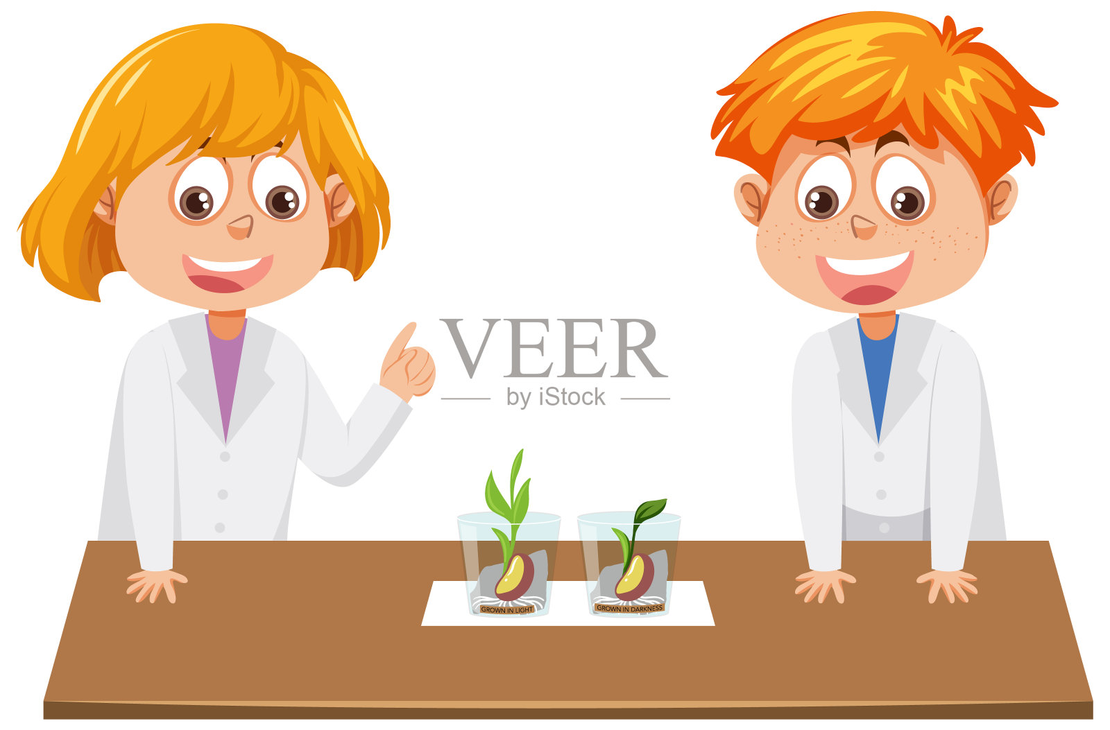 男孩和女孩在植物生长上做实验插画图片素材