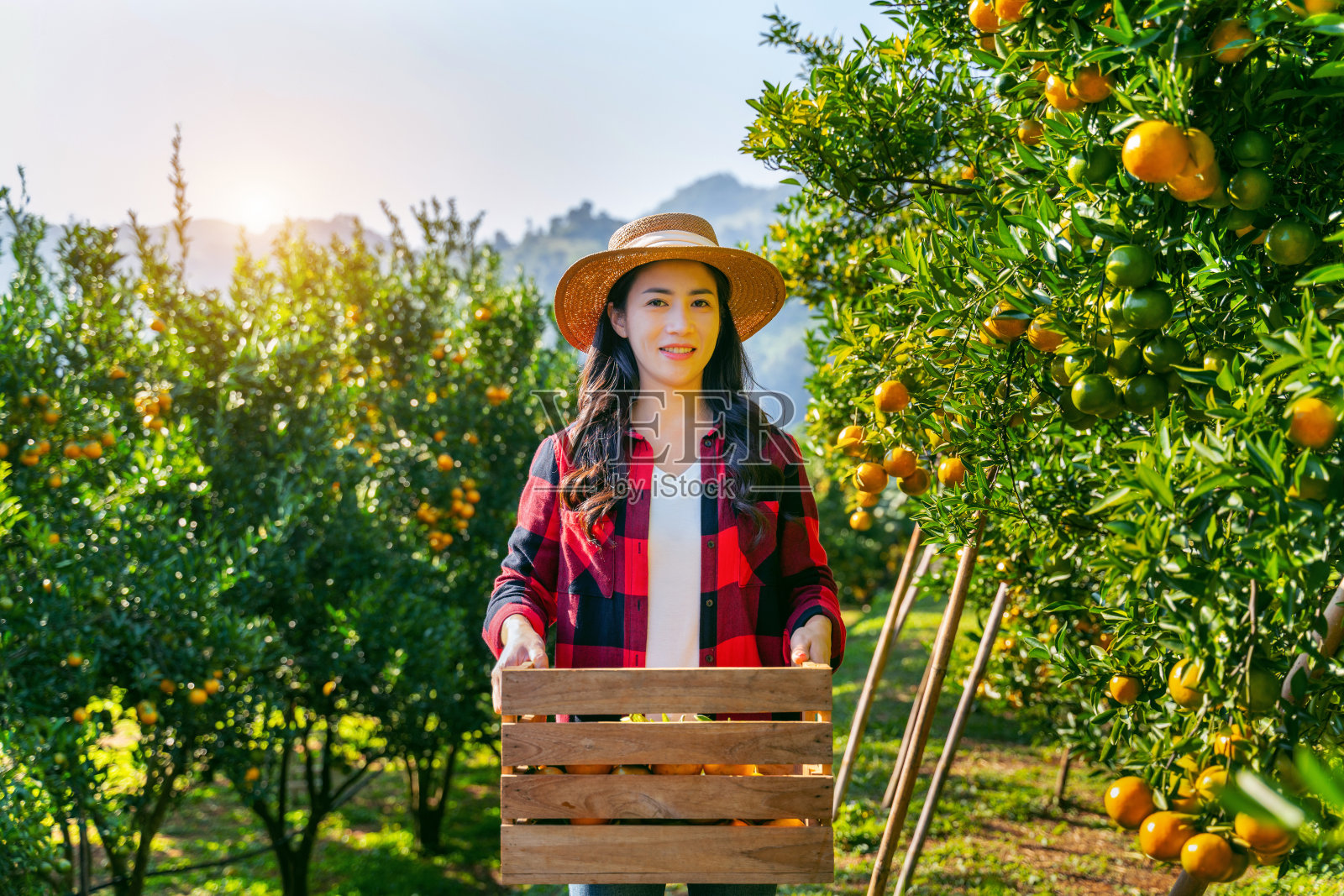 快乐的妇女农民提着木篮子成熟的有机橘子。照片摄影图片