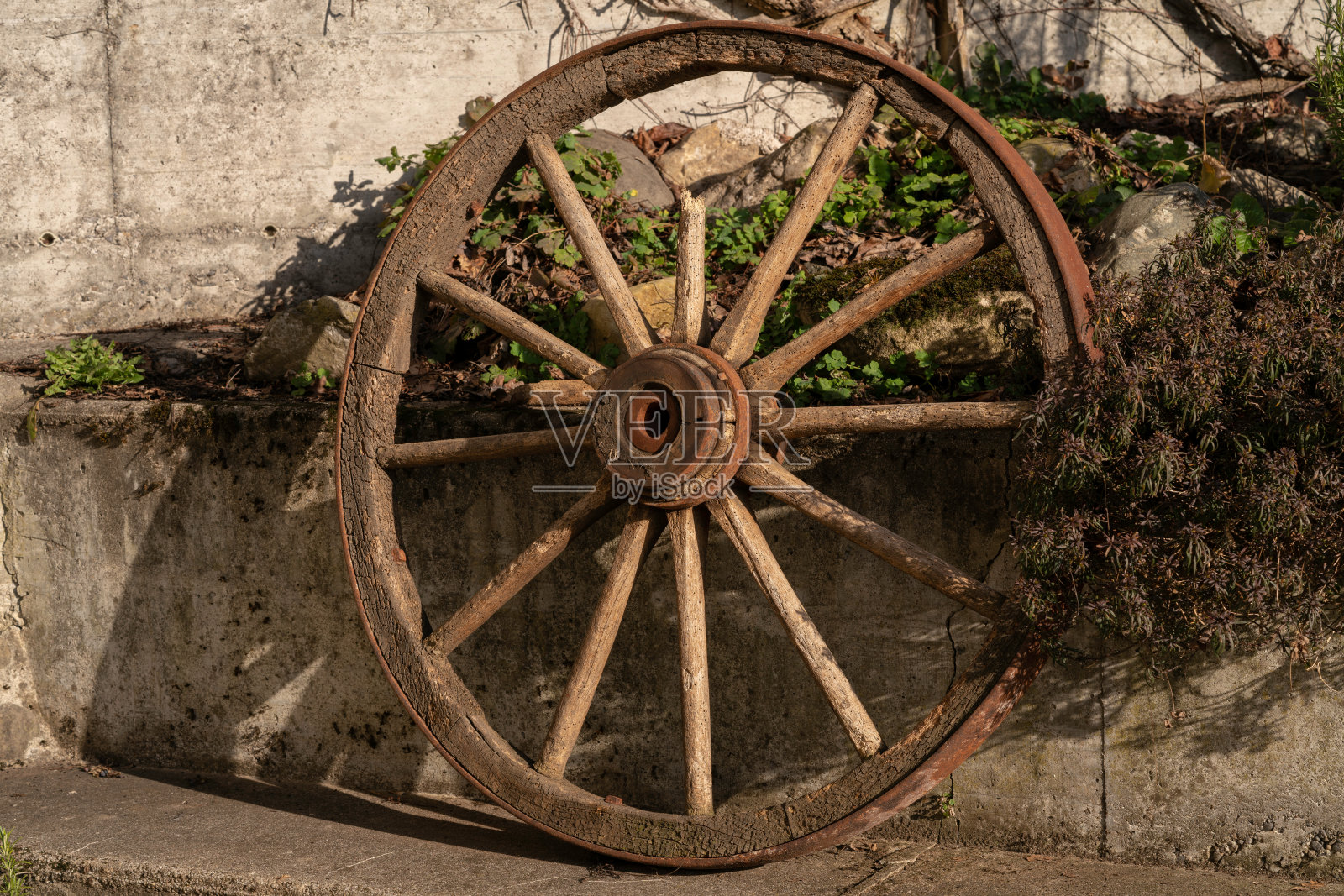 木制马车轮照片摄影图片