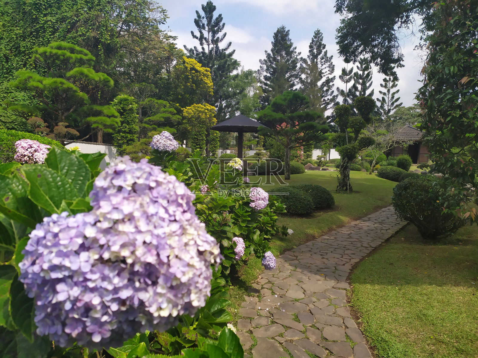 努桑塔拉花园的美丽花朵照片摄影图片